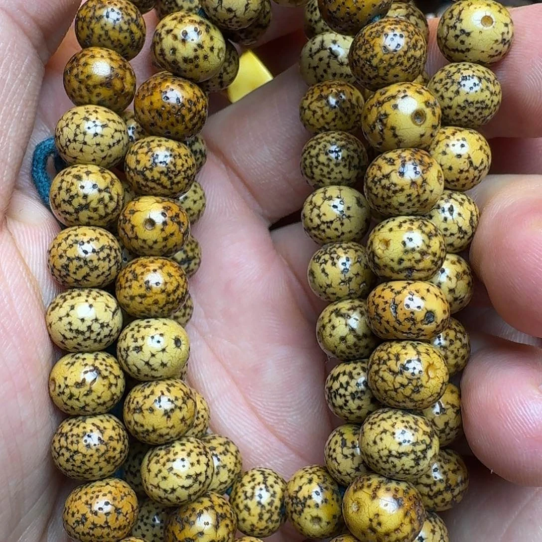 菩提籽类星月菩提