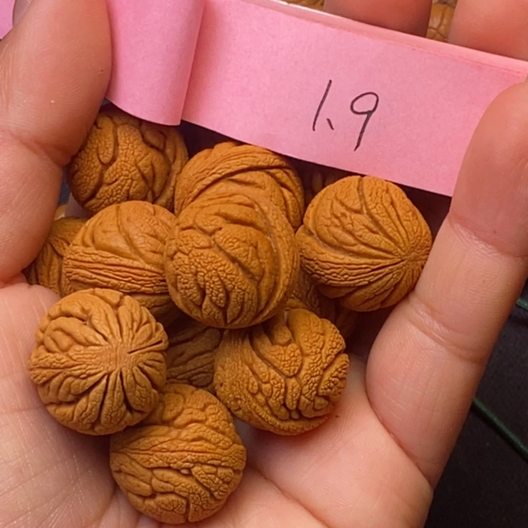 秦岭龙纹桃核14颗