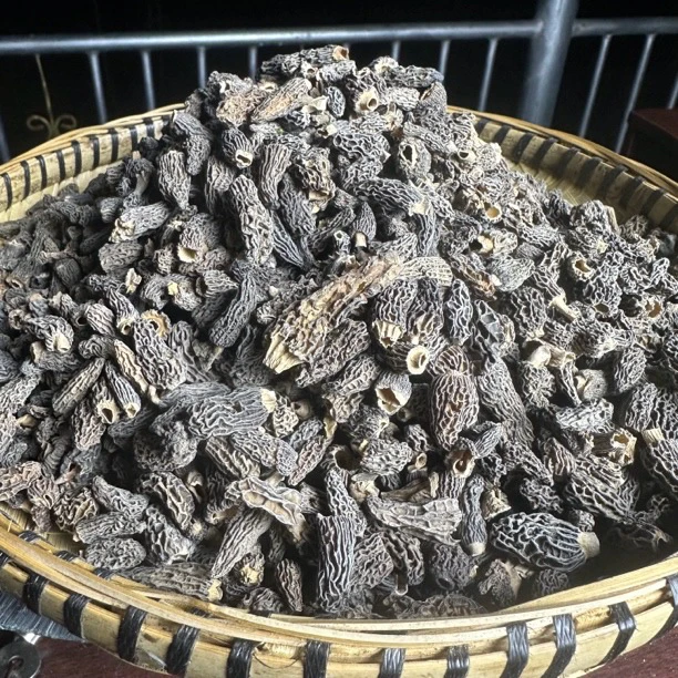 西藏羊肚菌羊肚菌精选