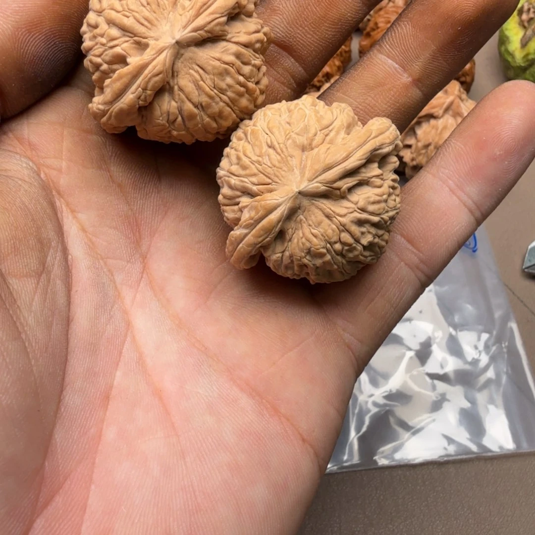 文玩核桃吊坠白狮子