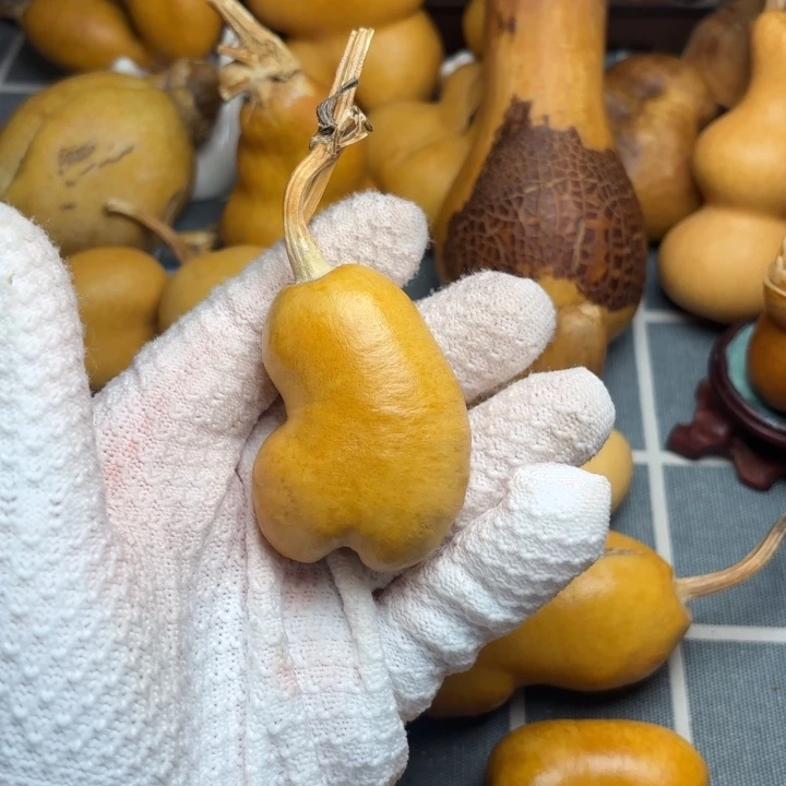 欣***堂葫芦66666666666666