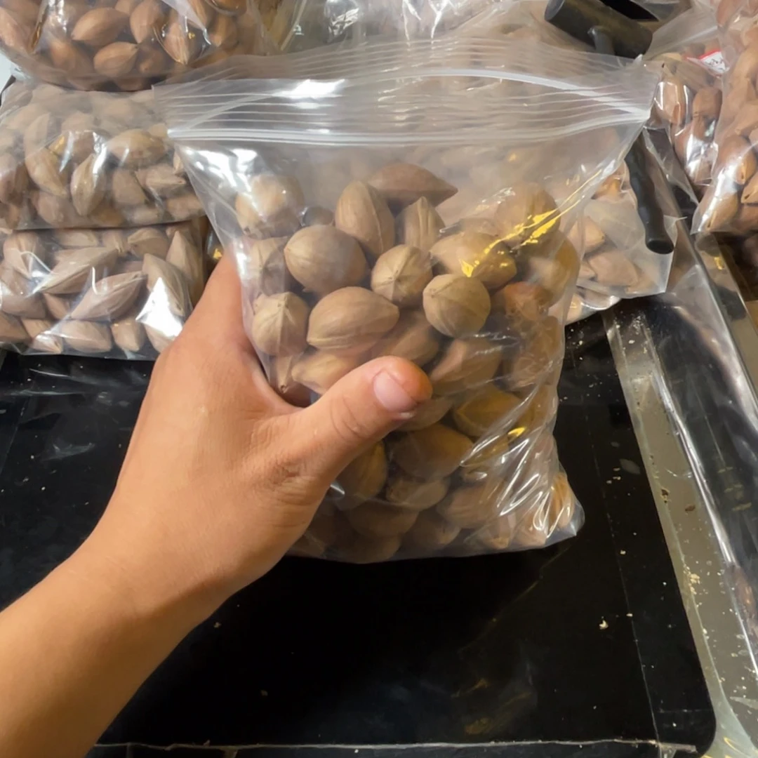 吊坠龙脊菩提十****.