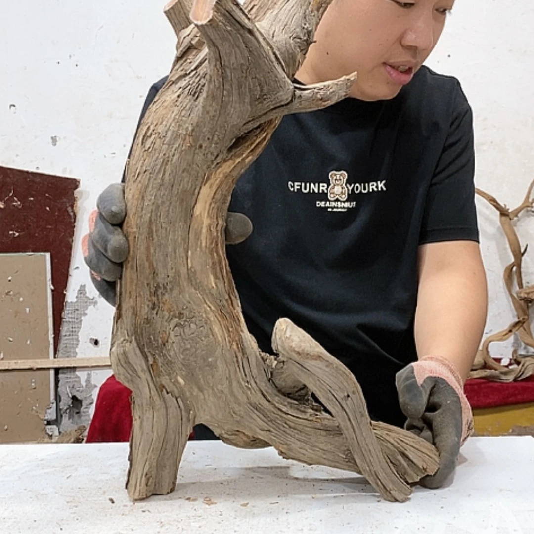 【闪购商品】柏木大**猩我们都是好孩子