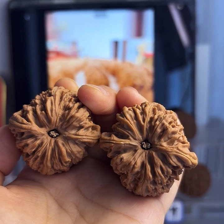 咪***乐南疆石狮子头一对