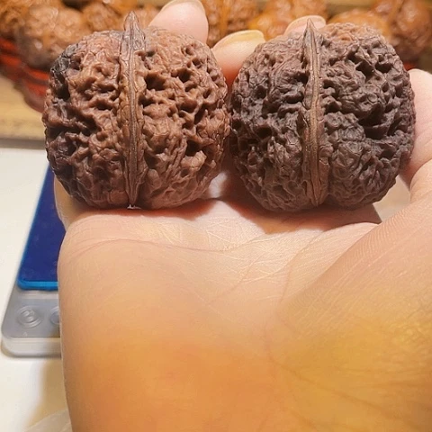 文玩核桃把件麒麟王彩阴44