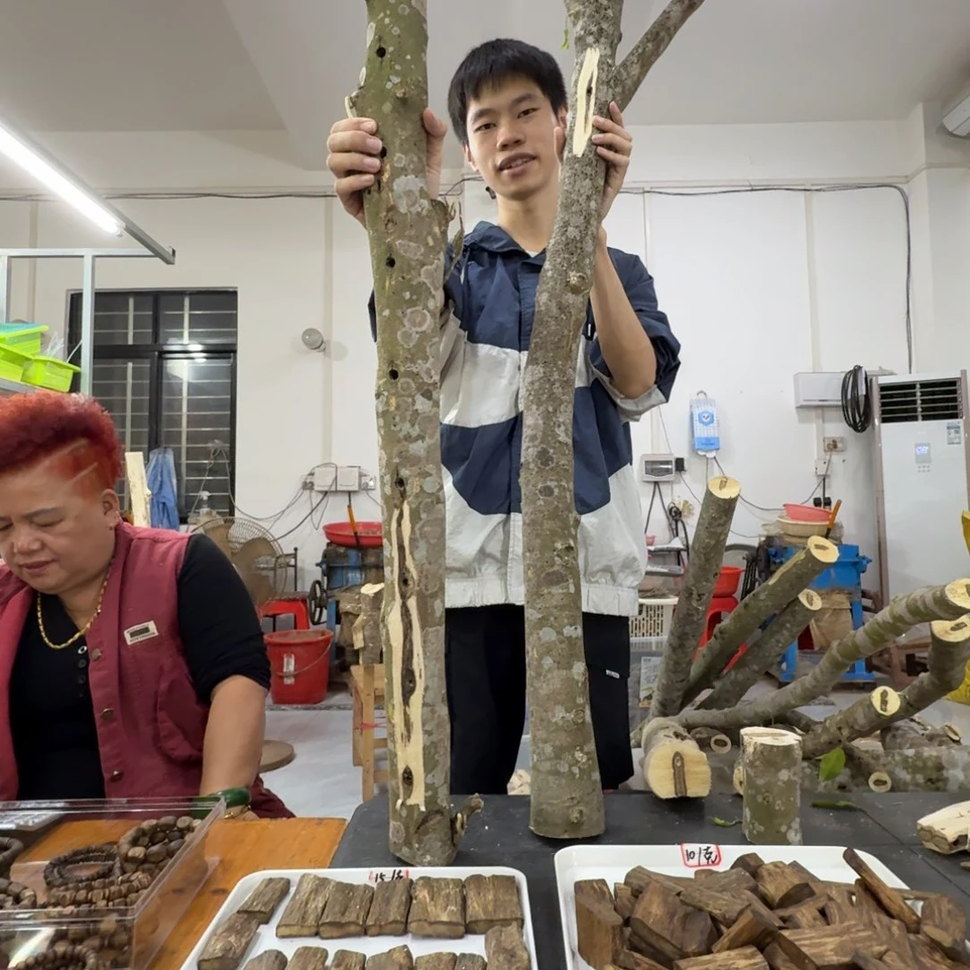 y***e线香奇楠沉香原木