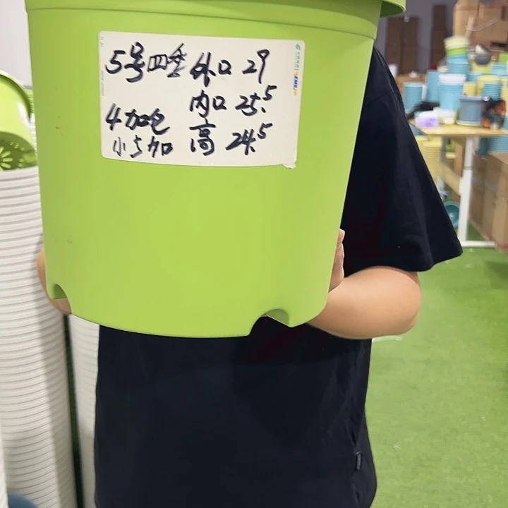 特价5号口19高24.5果绿色5只无托