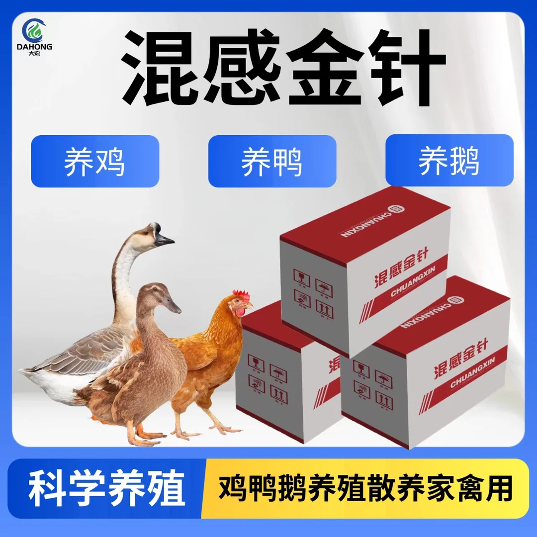混感金针鸡鸭鹅养殖农村散养家禽打蔫吃料少