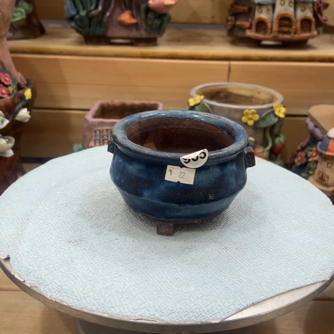 红陶陶然多肉花盆用过