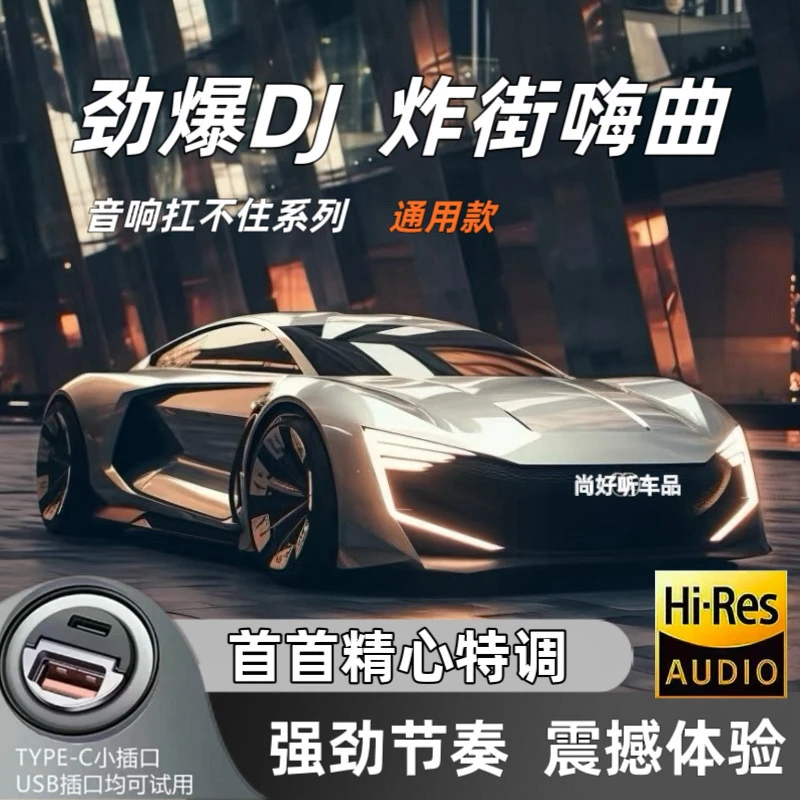 ［2025热门款］重低音炸街劲爆超嗨DJ车载U盘 一半抒情一半DJ通用款