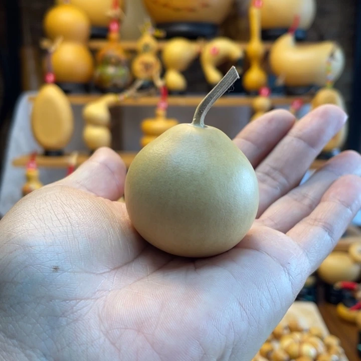 薅***猫天然葫芦自然生长