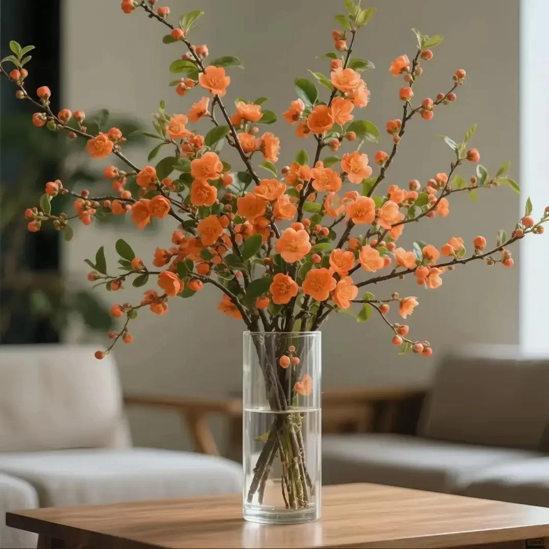 热销【遇水开花】鲜枝浓香型水培梅花枝带花苞室内耐寒好养花卉绿植