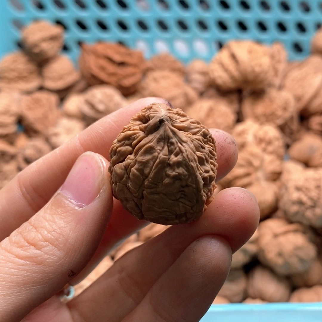 人***金核桃定制商品不退不换