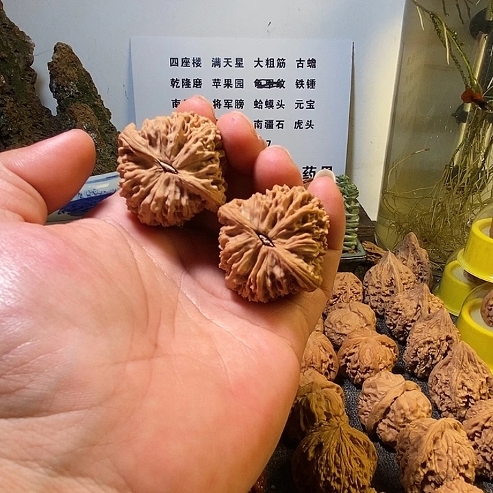 雨***果核桃全品无修无药42南疆