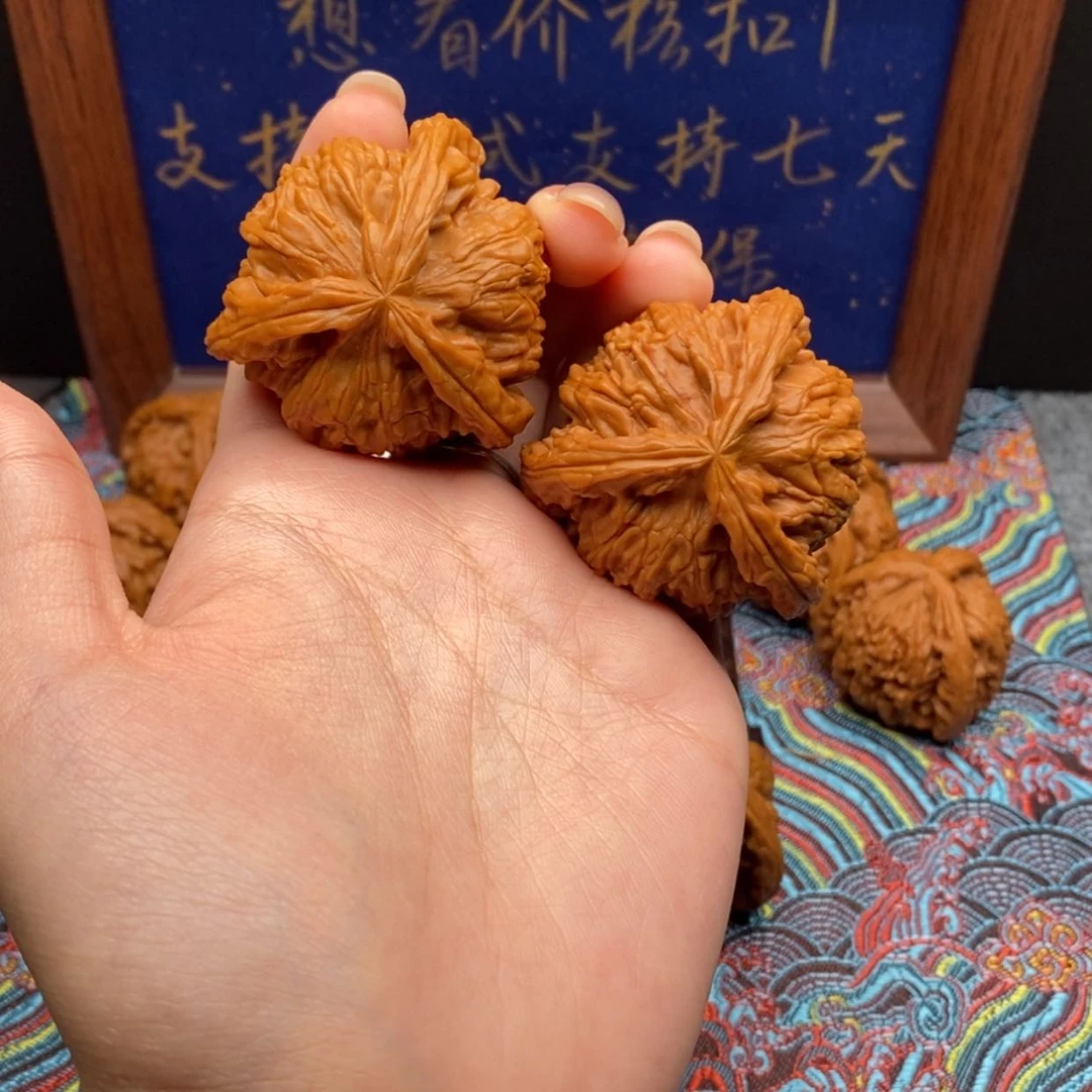 【闪购商品】好**见白狮