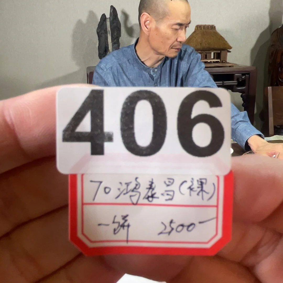406…………………………………