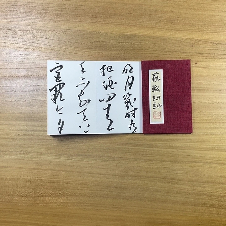 书法中书协会员作品