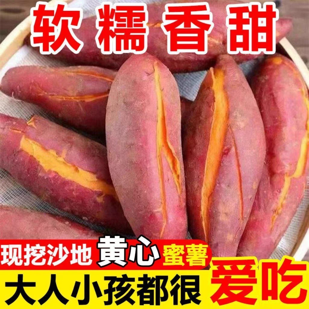 正宗黄心蜜薯新鲜现挖超甜软糯地瓜番薯