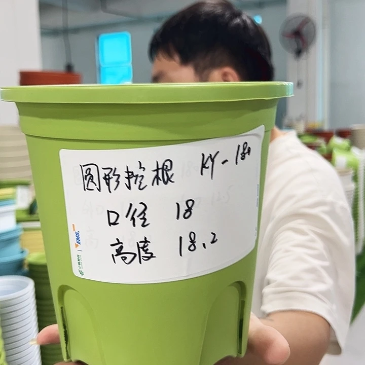 正品圆控口18高18果绿无托8只