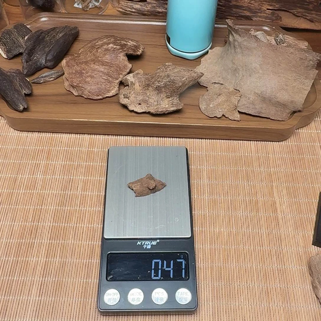 沉香海南鸡母虫漏0.47g