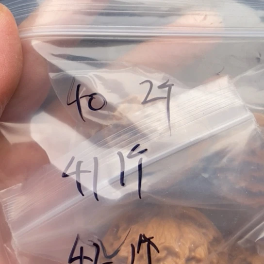 桃核吊坠八*～宫灯狮子