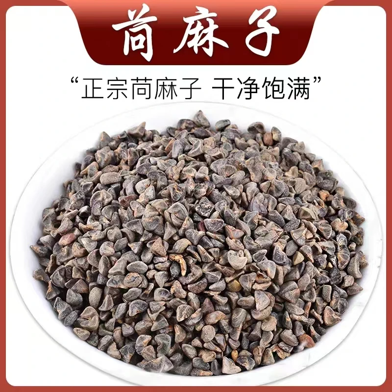苘麻子新货茼麻子青麻子野棉花子白茴麻子种苘麻籽粉