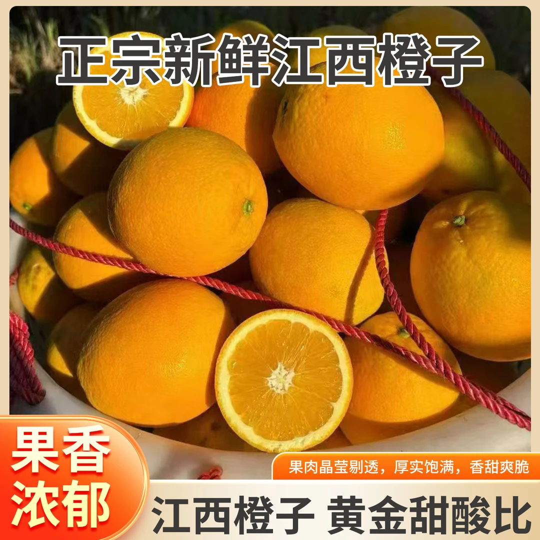 【精品中果】  正宗赣南脐橙 现摘现发 香甜多汁 产地直发水果