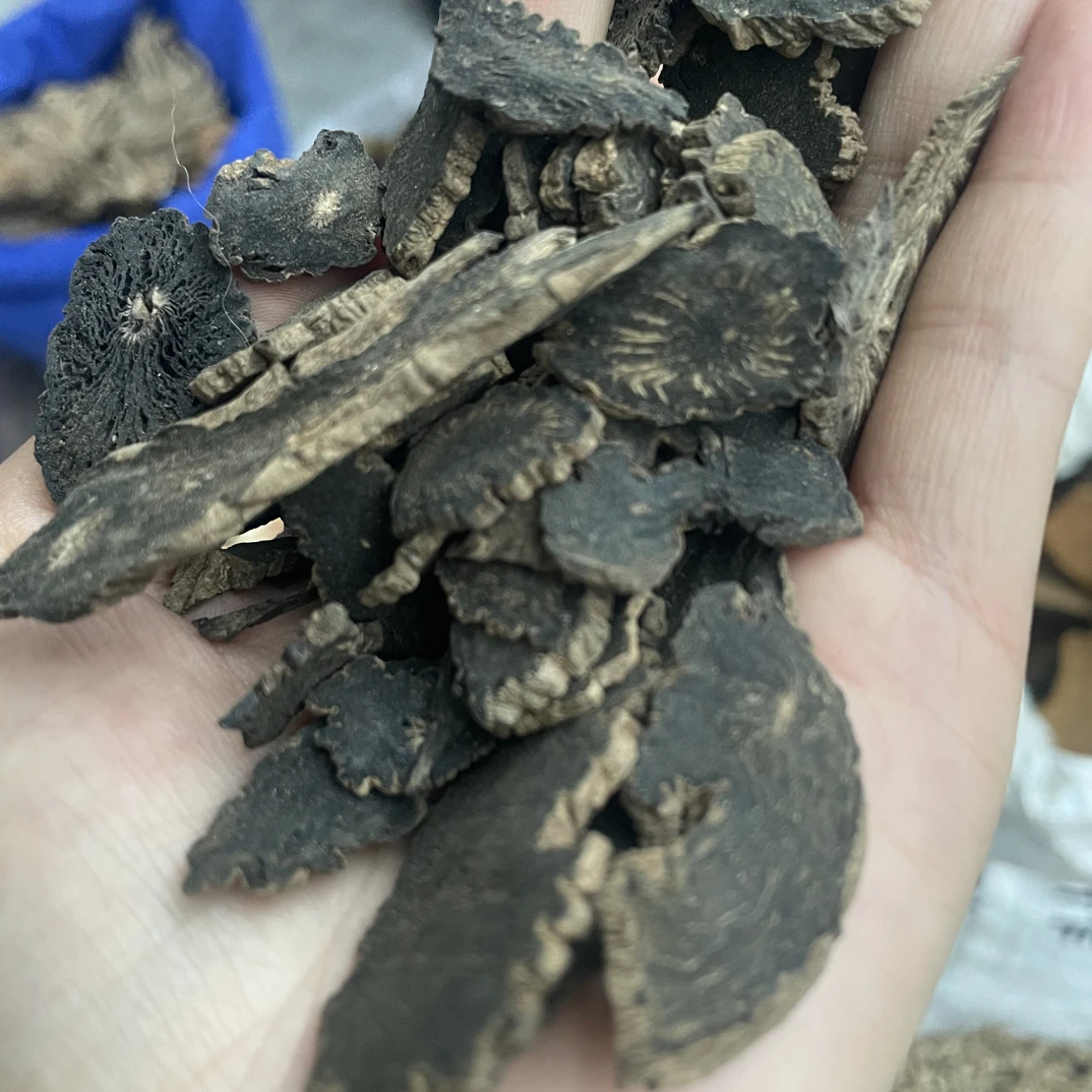 云南山货野生黑参