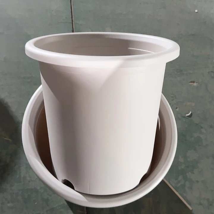 四季8号灰白无托5个特价微瑕