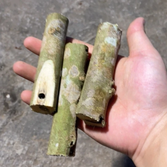 沉香碎屑沉香奇楠沉香原木料