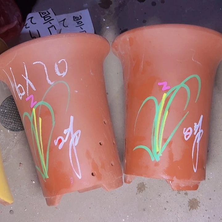 周深周深周深周深周深