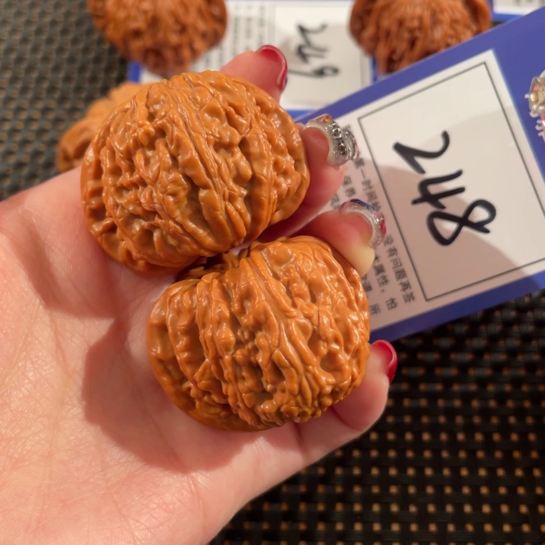 文玩核桃把件248号40尺白狮子