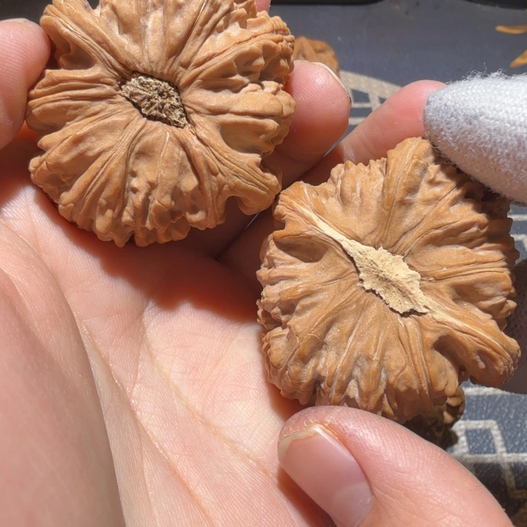把件文玩核桃白狮子