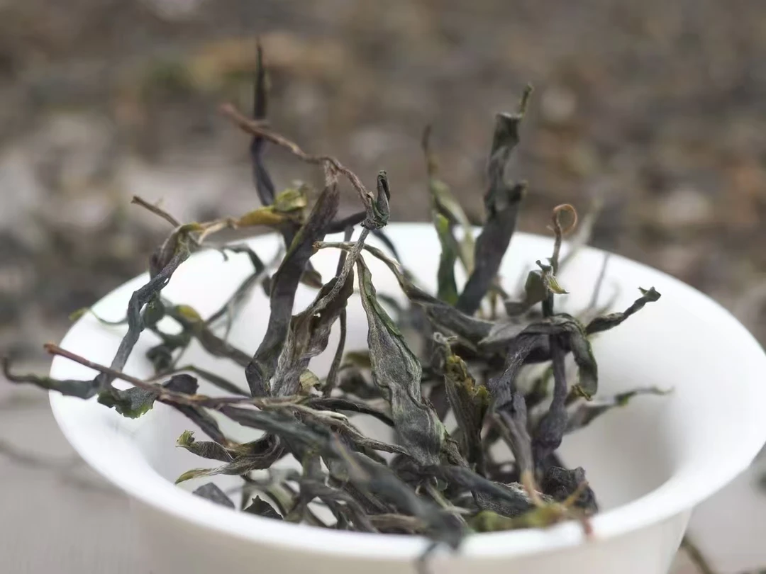 【正气塘古树春茶】2023春 100克散茶