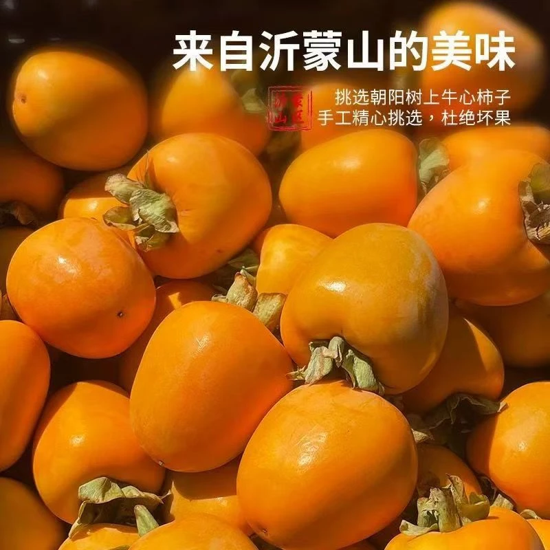 正宗产地直发沂蒙山牛心芒果脆柿子当季应季水果新鲜水果脆甜不涩