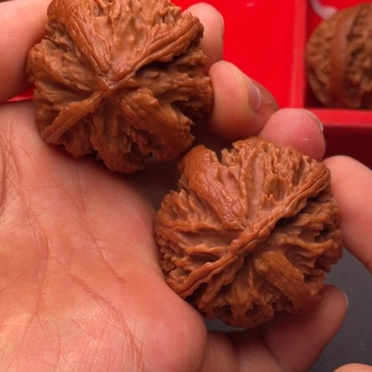 文玩核桃把件111111111111111