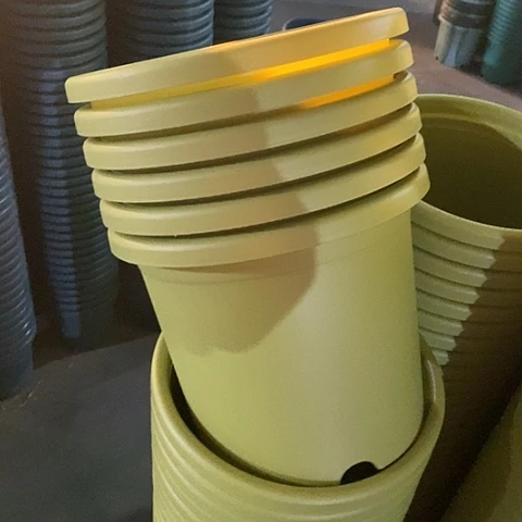 树脂特价5号6个无托果绿