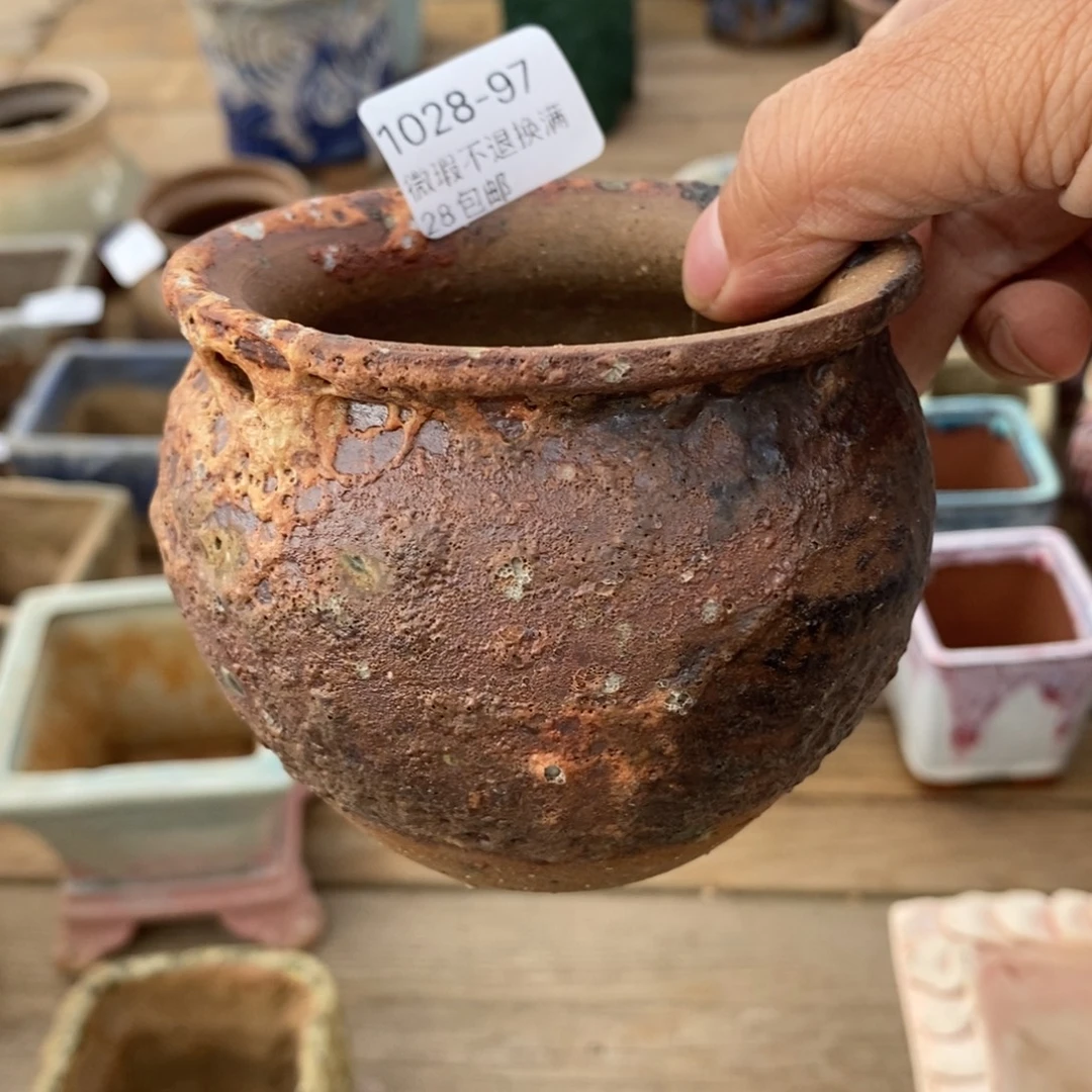 97号多肉盆口径7西啦