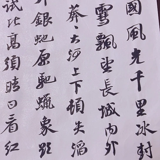 书法张建东老师书法作品