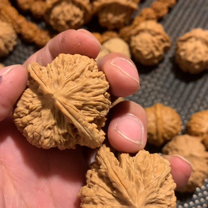 ב***ק有机玻璃11111111