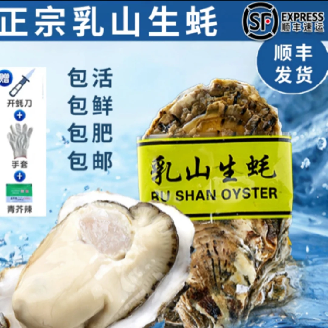 【顺丰次日达】鲜活乳山金标生蚝海鲜开播福利尝鲜家庭版（批零兼营）