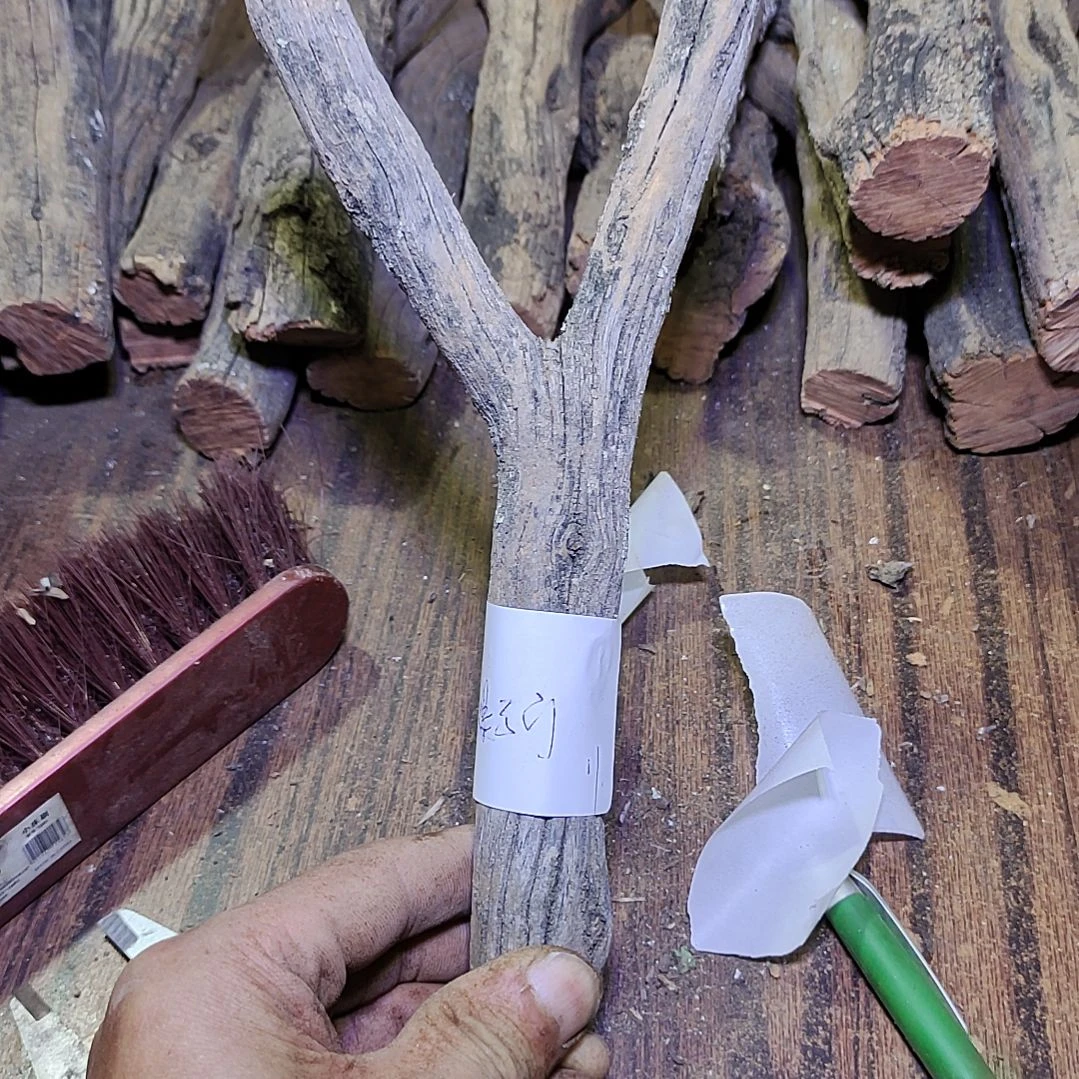 一***门火琉璃原杈，不保沉水，慎拍！