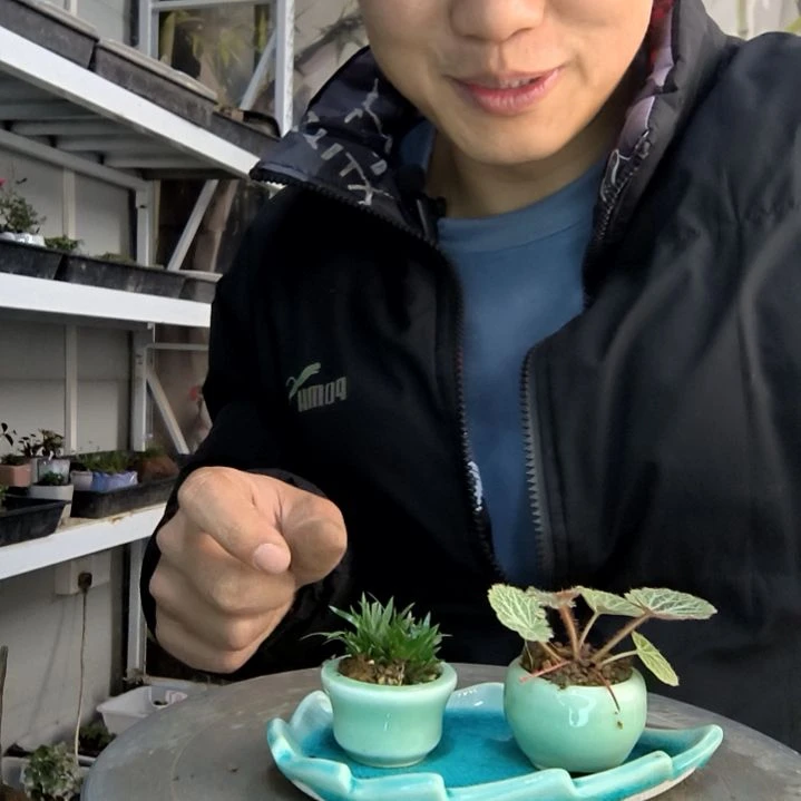墨*小盆景小植物一物一拍108