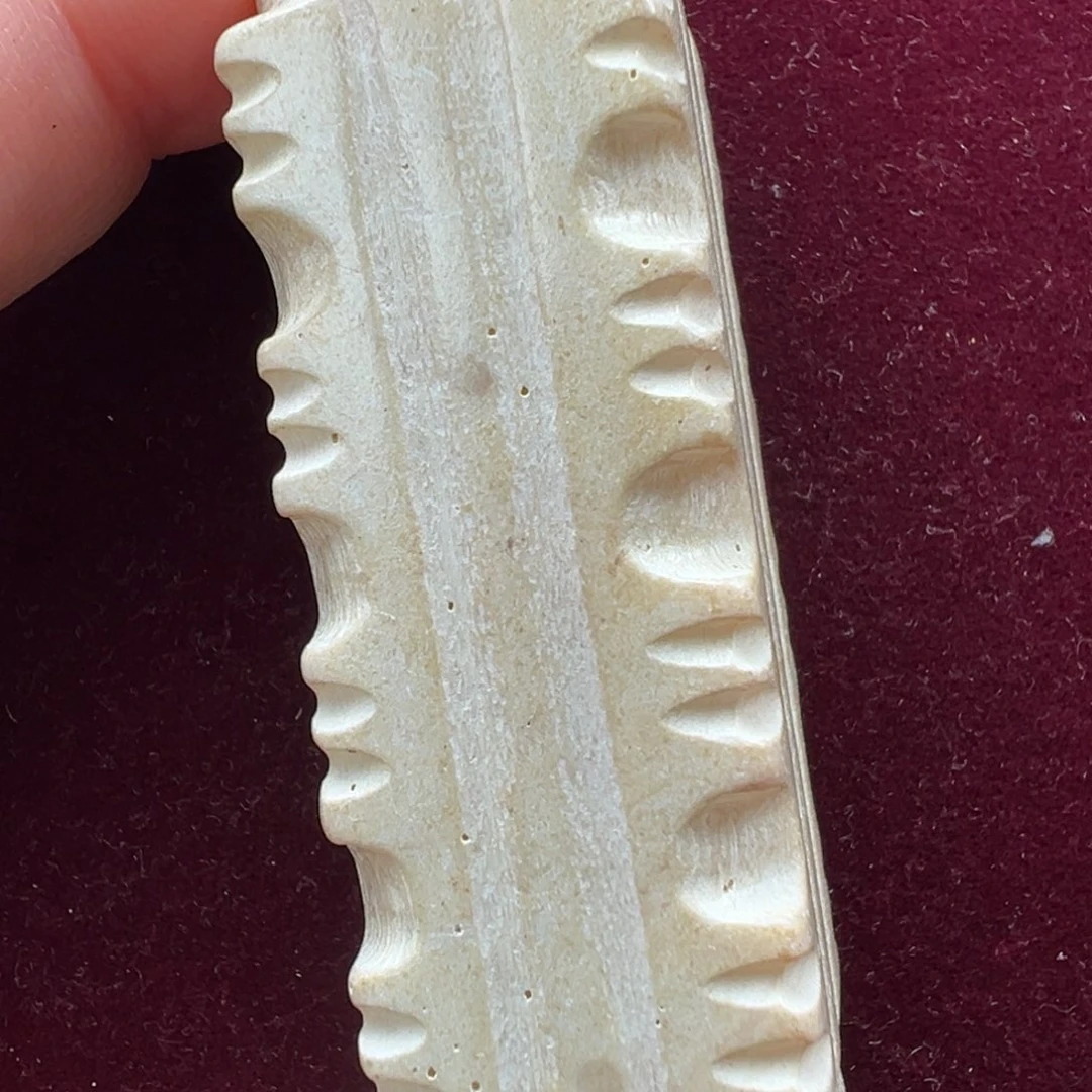 岫岩老玉（透闪石质玉）未镶嵌颈饰