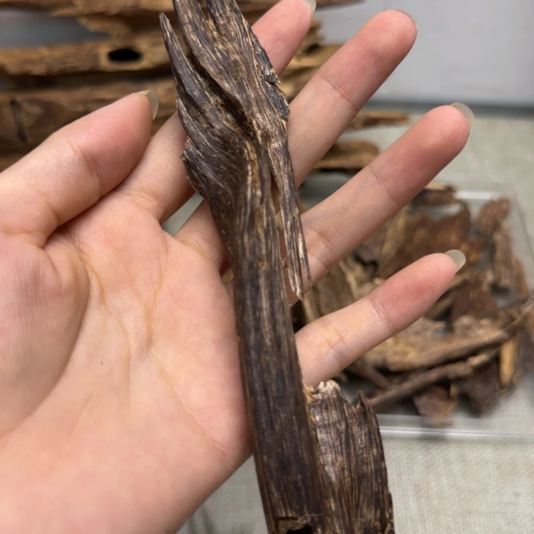 历***虫香榧木海南树心油11克