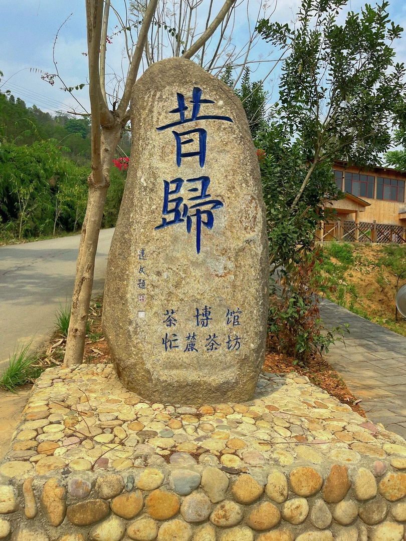 【普洱生茶】2023年昔归古树秋散茶100克