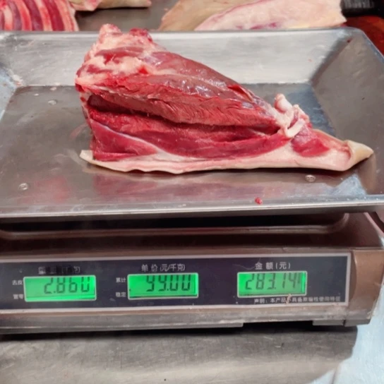 【闪购商品】冷冻保存30天包装河北省