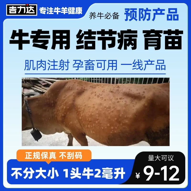 牛结节育苗肌肉注射牛专用1瓶打25头牛孕畜可用 硫酸亚铁
