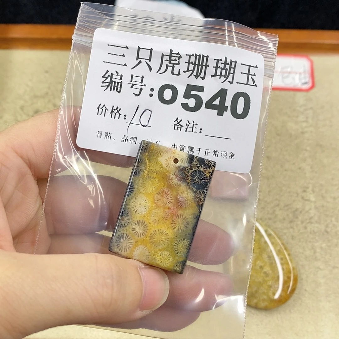 硅化珊瑚（珊瑚玉）1未镶嵌只****.