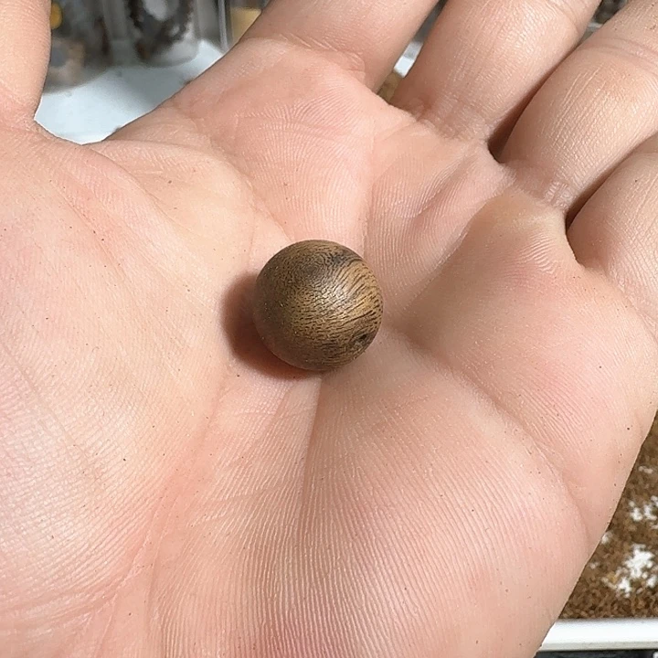 沉香碎屑沉香奇楠原材料珠子1.5mm-1颗